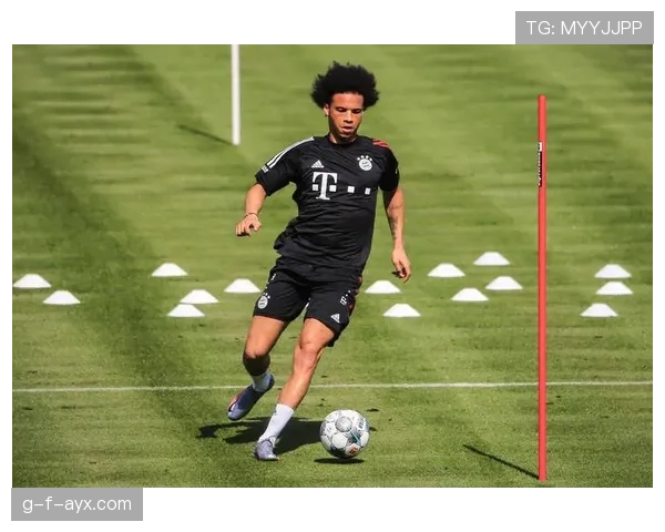 德甲转会市场深度解析：最新身价变动揭示球员价值背后的真相