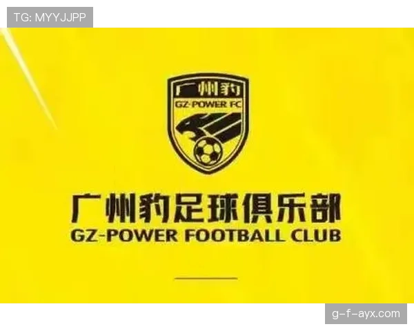 足球转会市场热潮来袭，球队全新引援计划引发广泛关注与期待